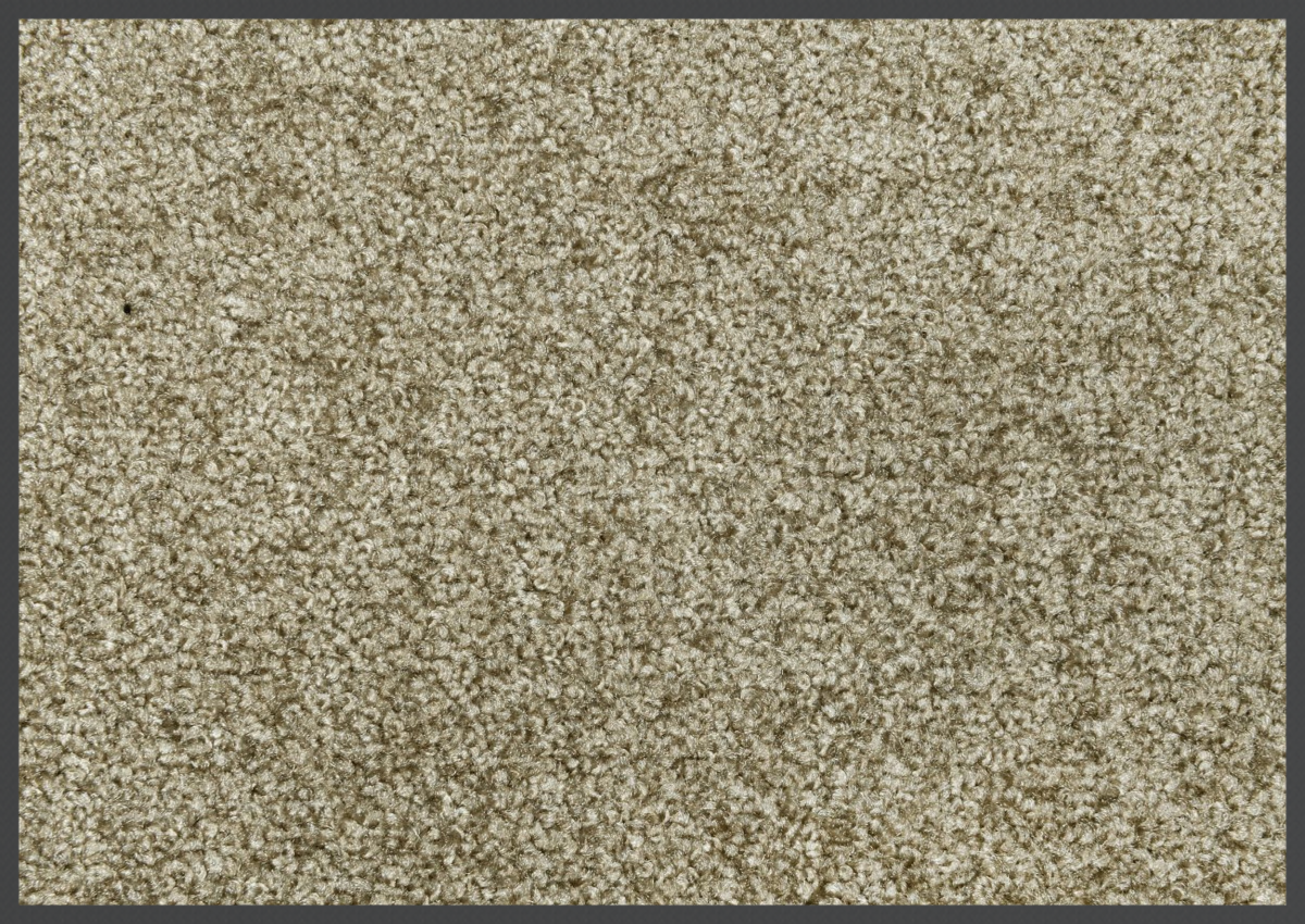 Alfombra de bienvenida/muelle (85x120cm)