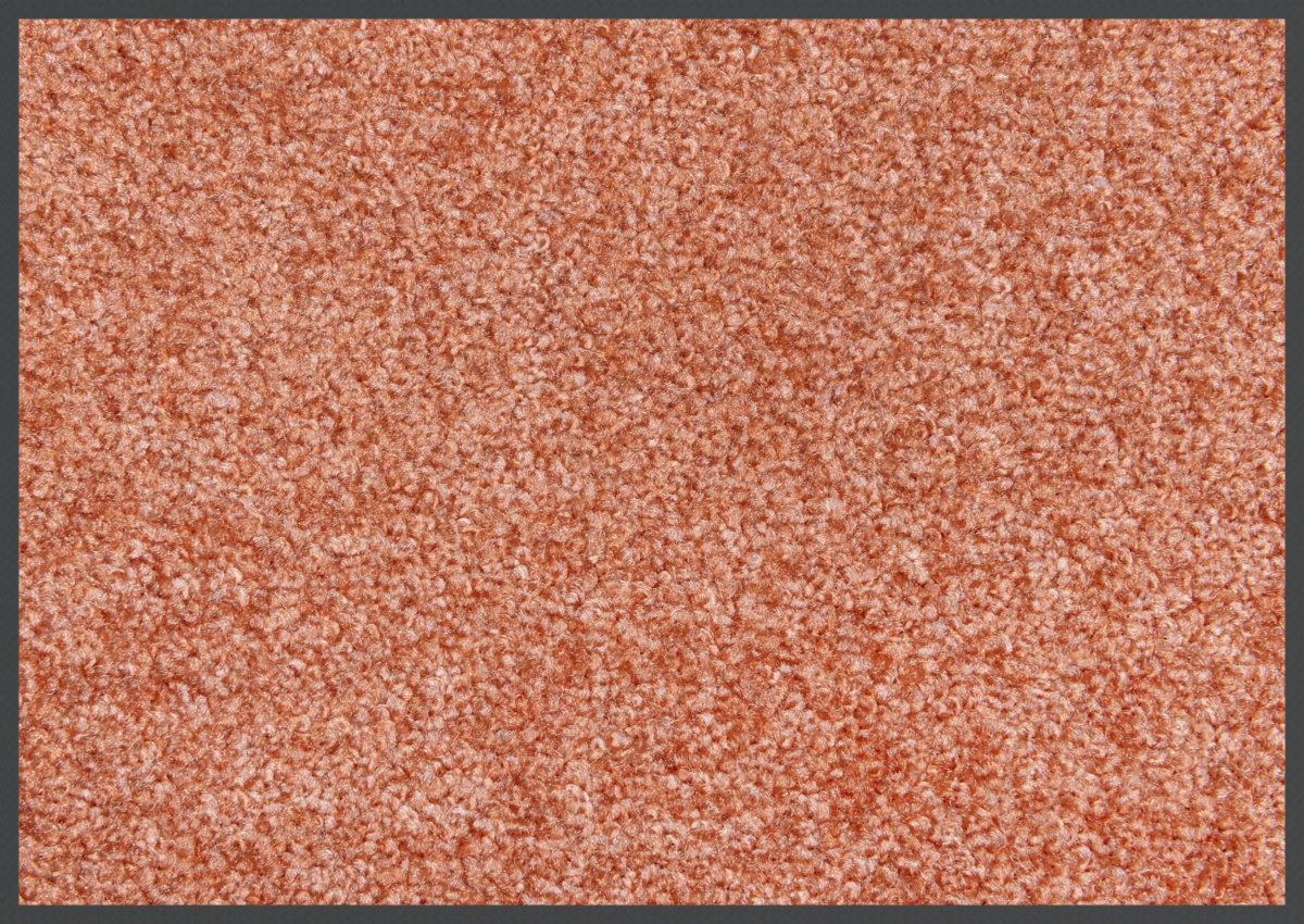 Alfombra de bienvenida/muelle (85x120cm)