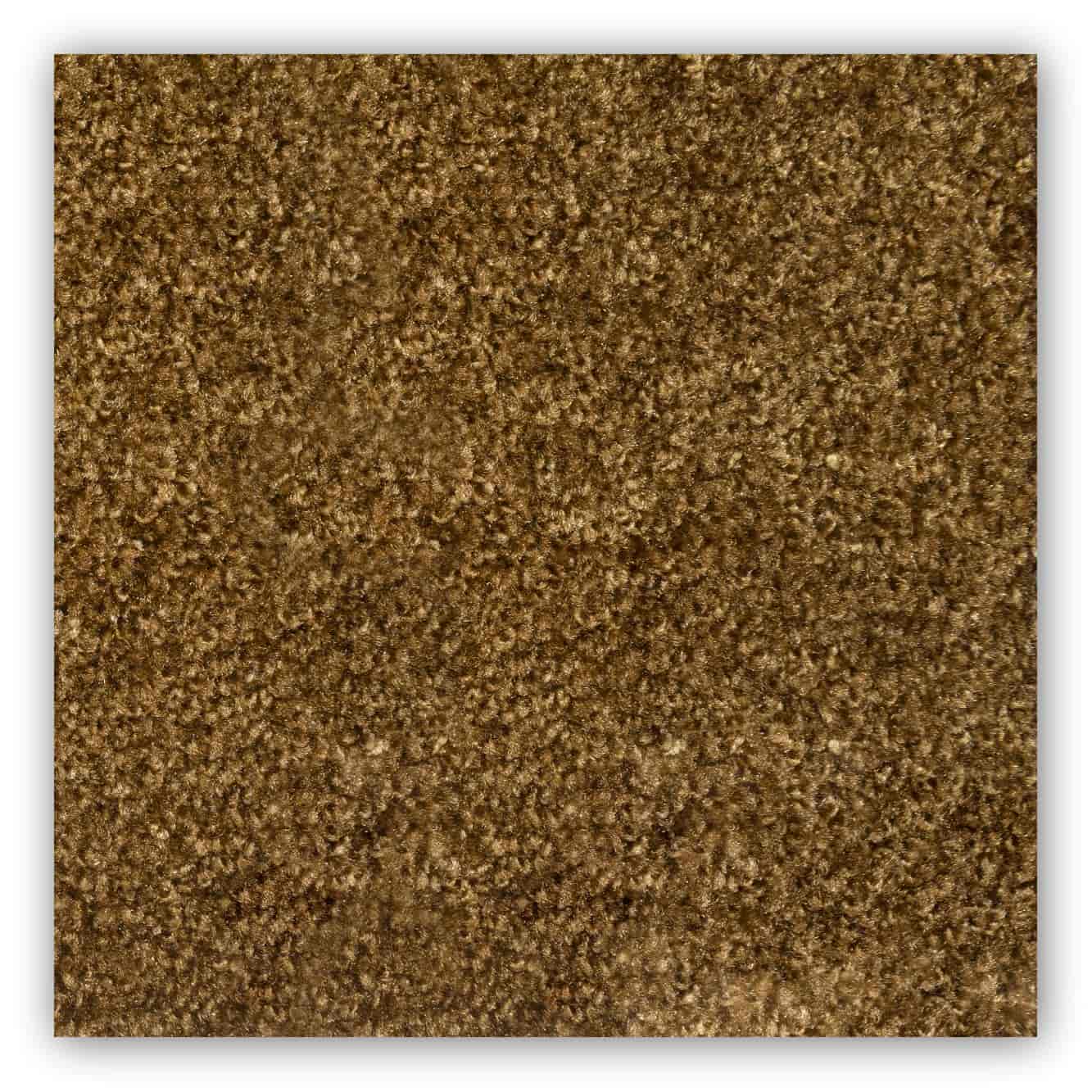 Welcome/Dock Mat